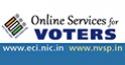 online voters image